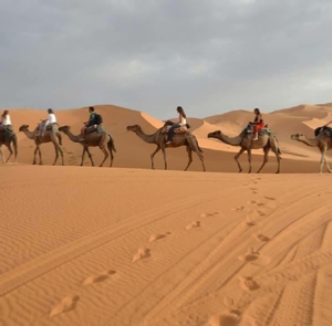 Tours from Agadir