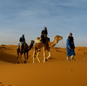 Tours from Agadir