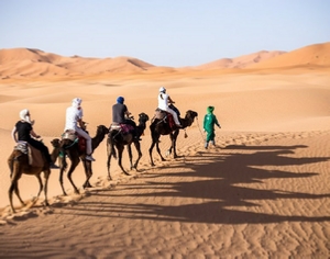 Guided Tour Marrakech