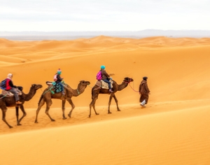3-Day Private Tour Marrakech to Sahara Desert