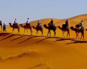 Tour from Marrakech To Desert and Fes 4 Days