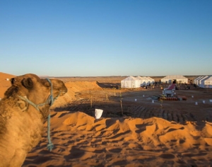 Shared Merzouga Desert Tour from Marrakech