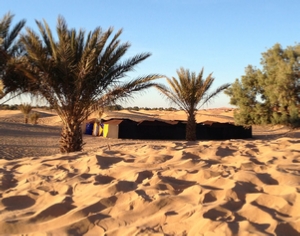 Trips Around Morocco