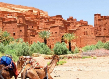 Trips Around Morocco