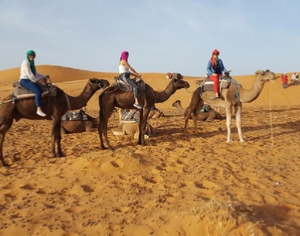 Trips Around Morocco
