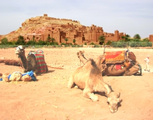 Trips Around Morocco