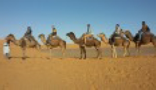 Trips Around Morocco, day trips and excursions