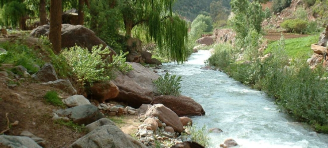 Trips Around Morocco