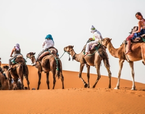 Trips Around Morocco