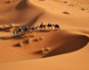 Trips Around Morocco