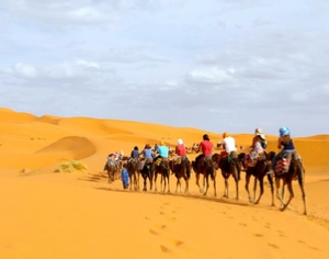 Trips Around Morocco
