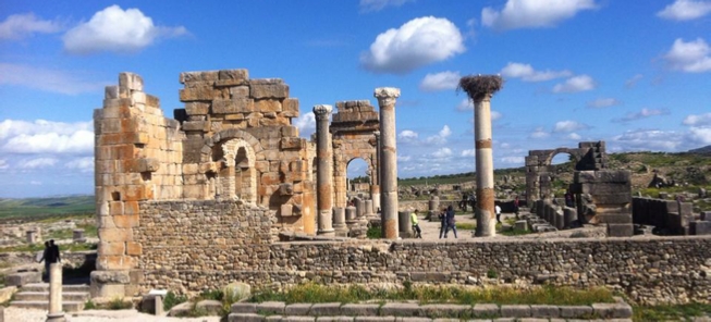 Trips Around Morocco